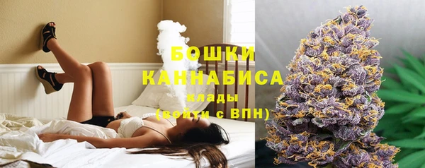 гидропоника Белокуриха
