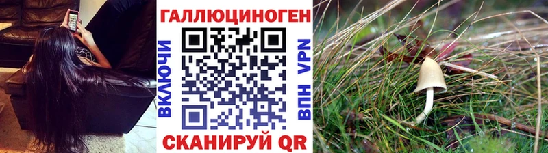 Галлюциногенные грибы Magic Shrooms  Полтавская 